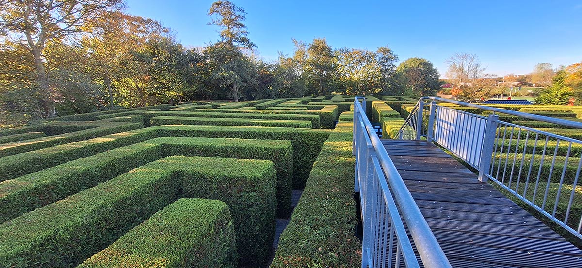 Irrgarten Norddeich mit grünen Hecken, gepflasterten Wegen, Zäunen und Personen.